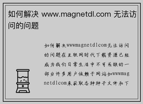 如何解决 www.magnetdl.com 无法访问的问题